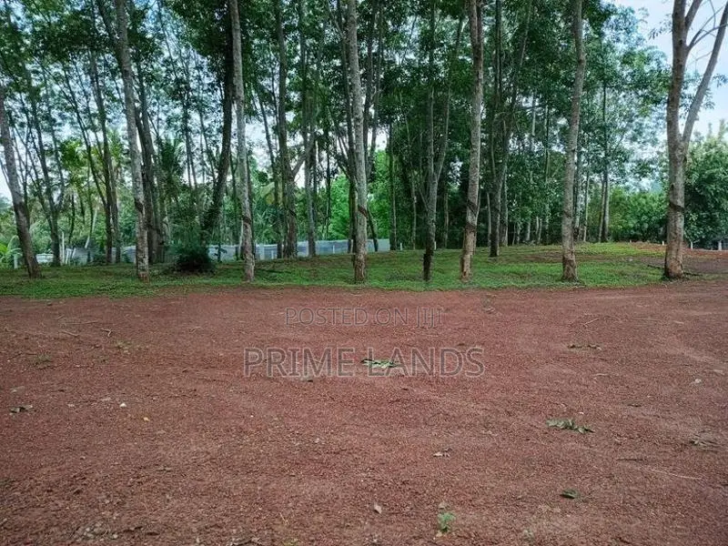 දිවුලපිටිය ඉඩමක්