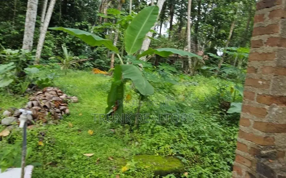 Minuwangoda land with house For Sale (NK11316)