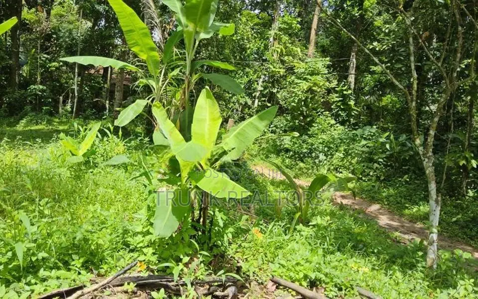 Minuwangoda land with house For Sale (NK11316)