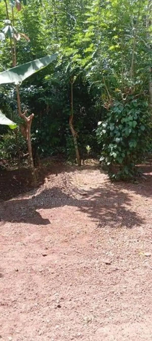 හෙයියන්තුඩුව – ගුණසේකර මාවතෙන් වටිනා ඉඩමක්