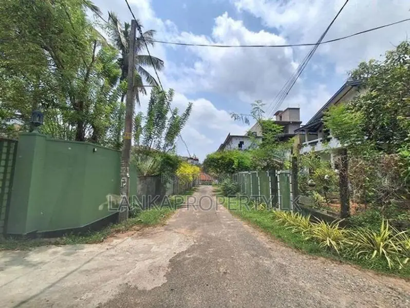 Valuable Residential Land for Sale in Indigolla, Gampaha.