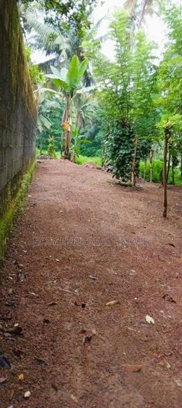 හෙයියන්තුඩුව – ගුණසේකර මාවතෙන් වටිනා ඉඩමක්