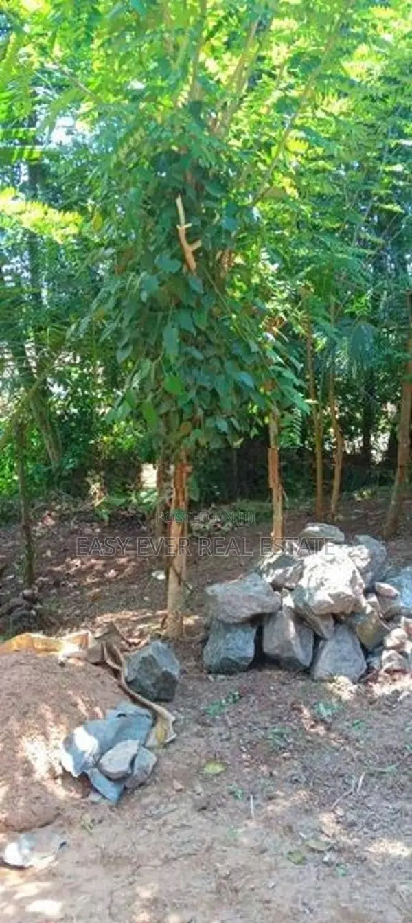 හෙයියන්තුඩුව – ගුණසේකර මාවතෙන් වටිනා ඉඩමක්