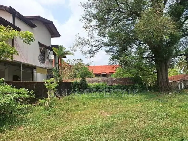 Valuable Residential Land for Sale in Indigolla, Gampaha.