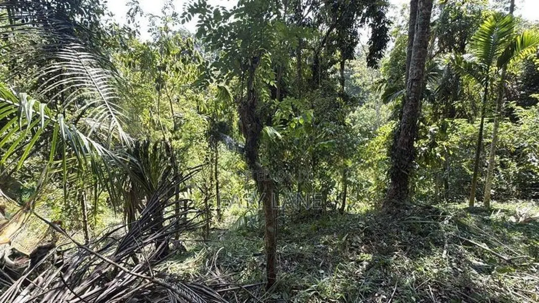 නුවර – වත්තේගමෙන් අගනා ඉඩමක් විකිණීමට