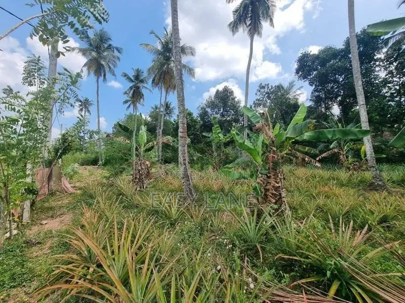 Mirigama Land for Sale