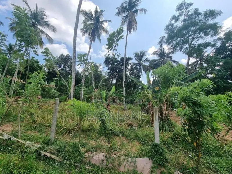Mirigama Land for Sale