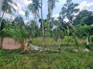 Mirigama Land for Sale