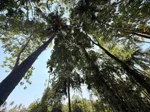 නුවර – වත්තේගමෙන් අගනා ඉඩමක් විකිණීමට