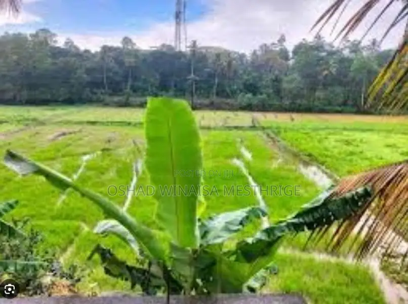 Land for Sale Mawanella