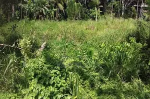 Land for Sale ගාල්ල