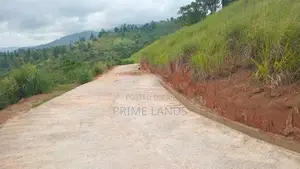 Valuable Land for Sale in Kandy Nillabe
