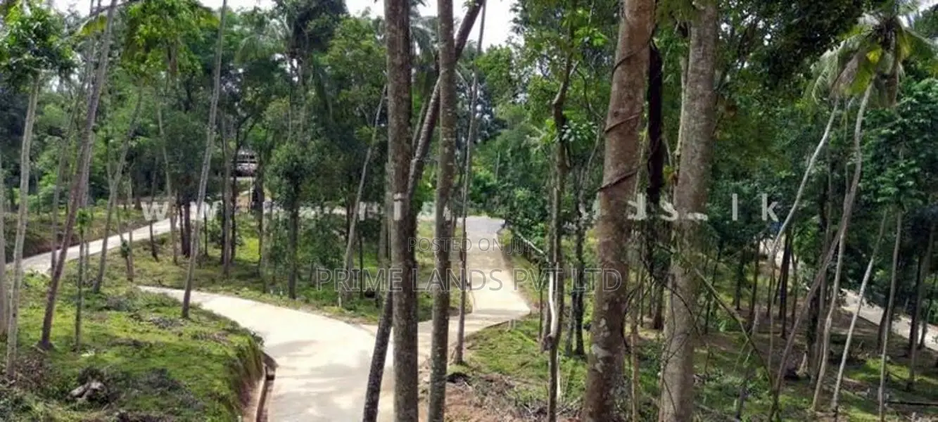 Land for Sale Thannekumbura