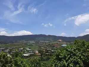 නුවරඑළිය නගරයෙන් ඉඩමක් විකිණීමට
