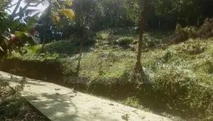 Land for Sale Ambathanna