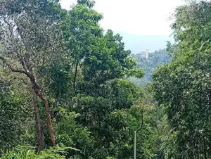 Land for Sale Ampitiya