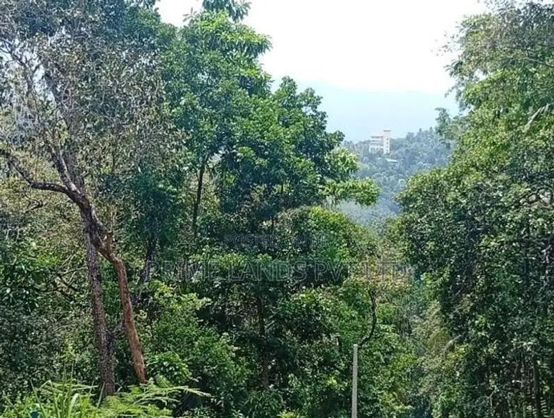 Land for Sale Ampitiya