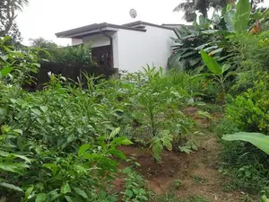 පදිංචියට සුදුසු නිරවුල් ඉඩමක් - අතුරුගිරිය