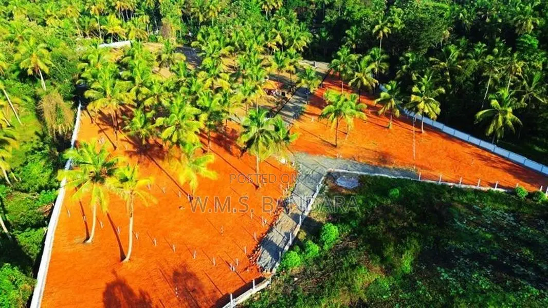 Land for Sale in Melsiripura' O15