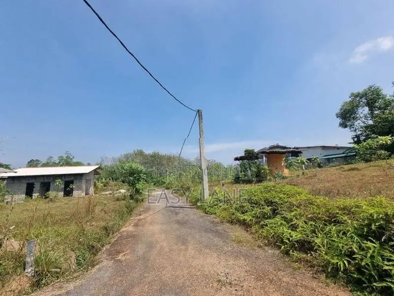 හොරණ තල්ගහවිල පාරට ඇවිද යන දුරින් වටිනා බිම් කොටසක්