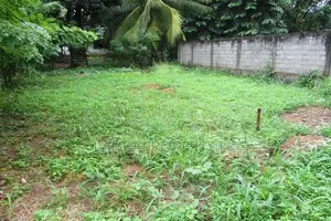 Residential Land for Sale in Wijerama Rd Gampaha.
