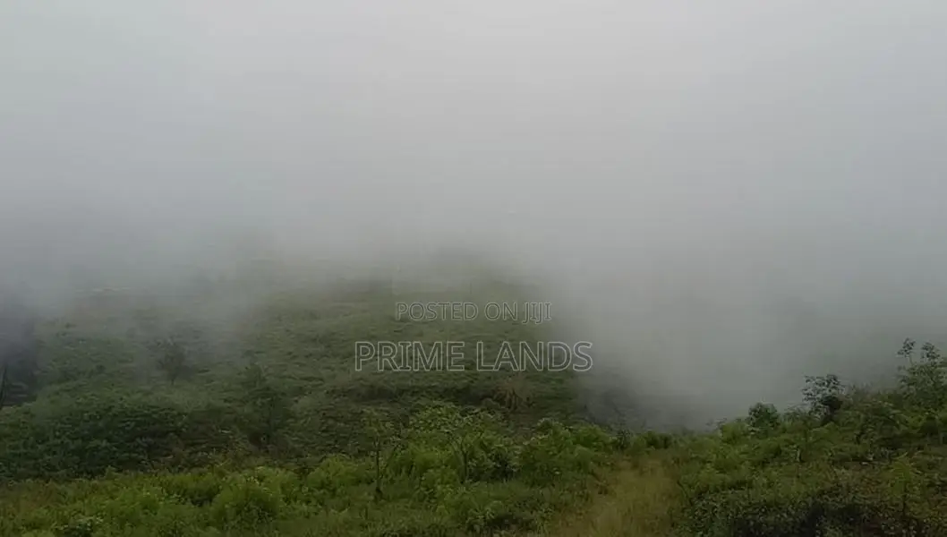 View Point Land For Sale Nuwara Eliya Ramboda