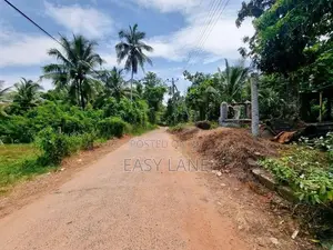 නිට්ටඹුවට ලගින්ම ඉඩම