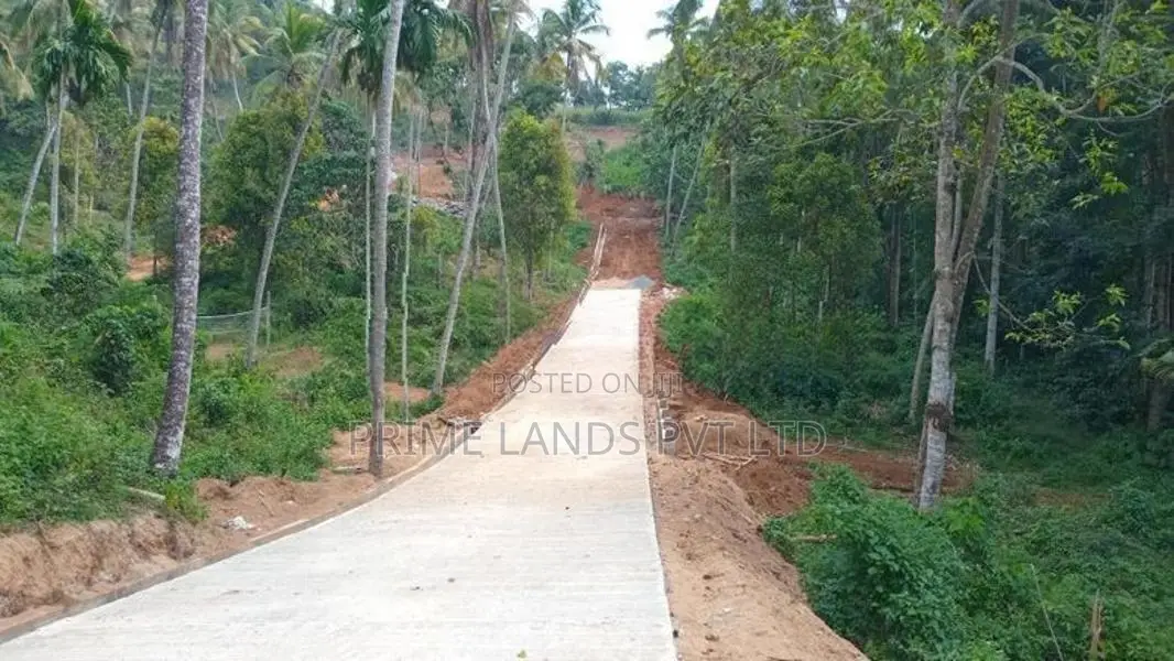 ගෙලිඔය නගරයෙන් ඉඩමක් විකිණීමට