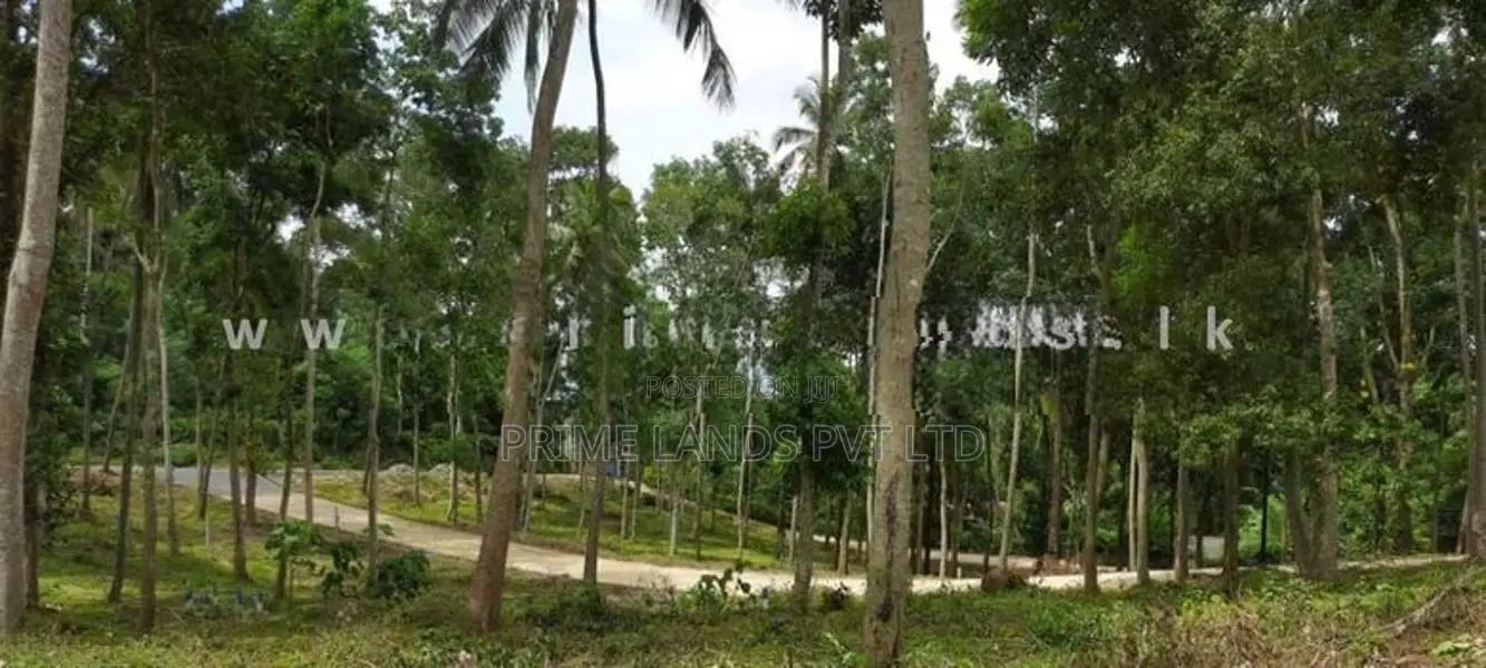 Land for Sale Thannekumbura