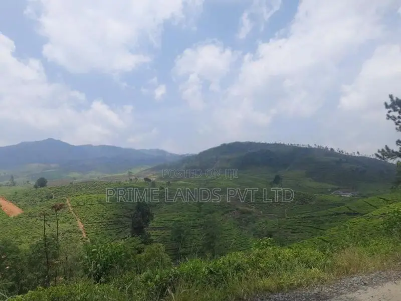 Land for Sale Ramboda