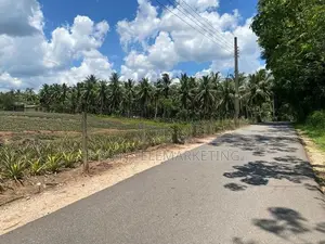Land for Sale in Yatawathura