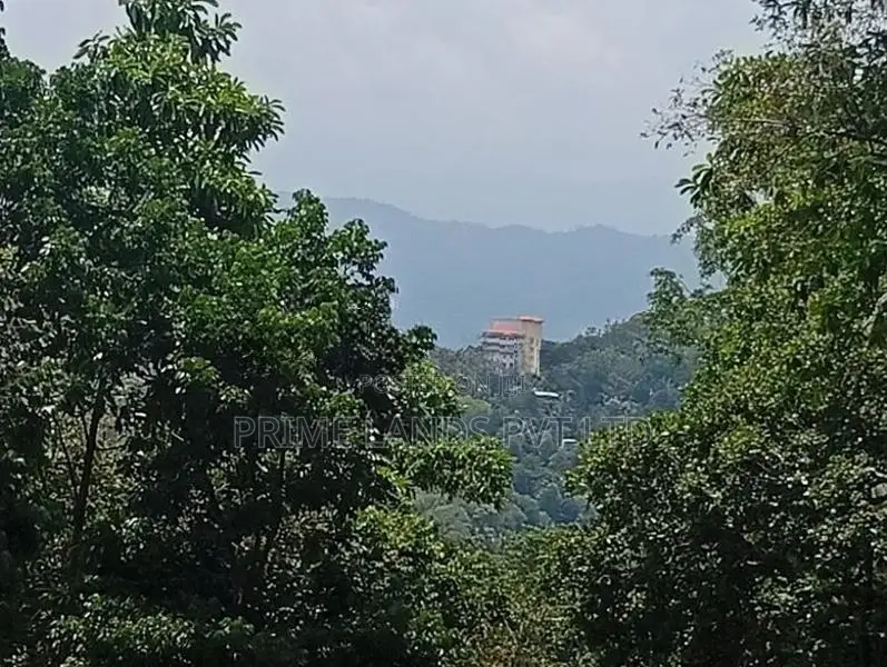 Land for Sale Ampitiya