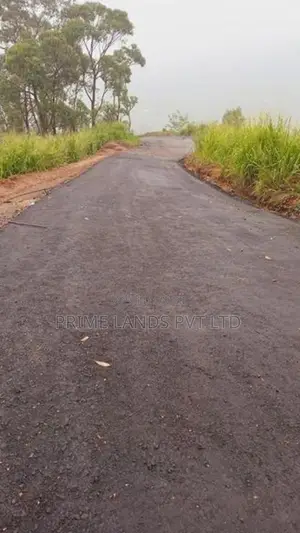 Land for Sale Pundaluoya