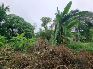 මීරිගම අධිවේගී පිවිසුමට ආසන්නව ඉඩමක්
