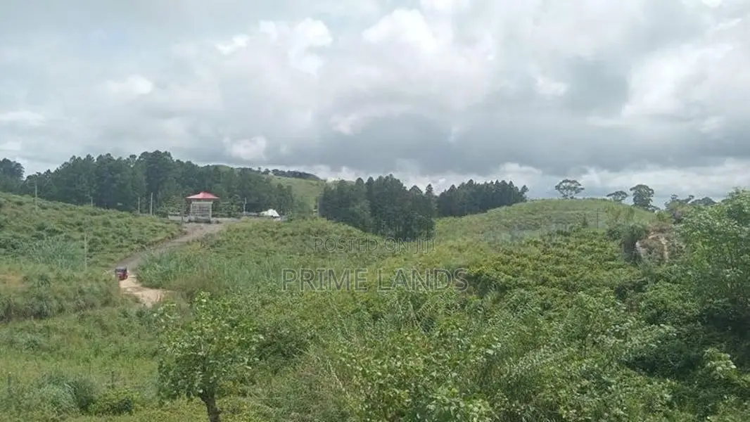 Ramboda Falls Road Nuwaraeliya Land For Sale