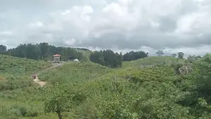 Ramboda Falls Road Nuwaraeliya Land For Sale