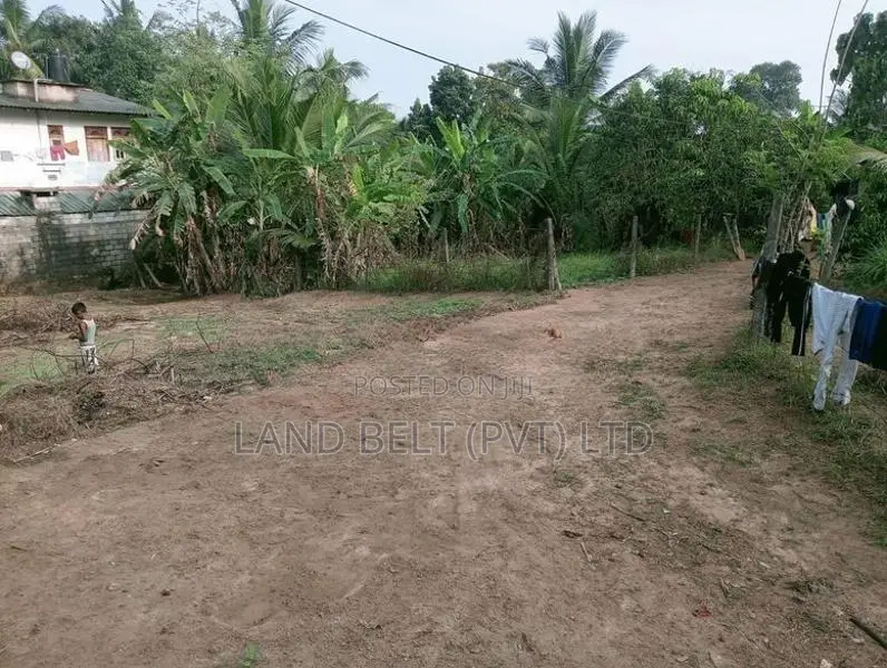 Land for Sale Thalagala