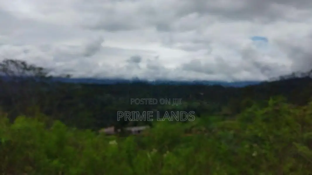 Land for Sale in Bandarawela Kontehela