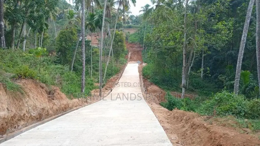ගෙලිඔය නගරයෙන් ඉඩමක් විකිණීමට