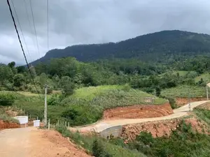 Land for Sale Delthota