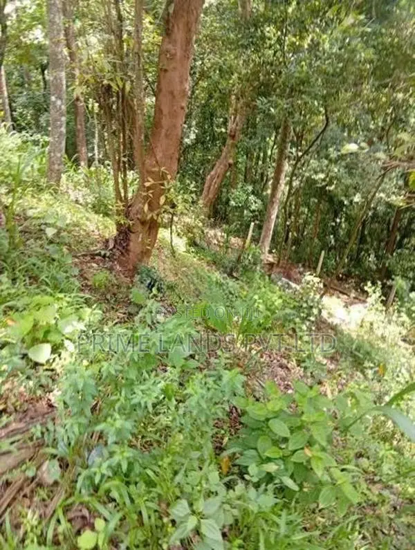 Land for Sale Ampitiya