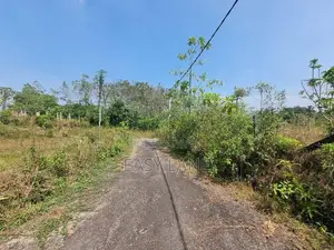 හොරණ තල්ගහවිල පාරට ඇවිද යන දුරින් වටිනා බිම් කොටසක්