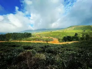 Valuable Land For Sale Ramboda