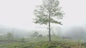 View Point Land For Sale Nuwara Eliya Ramboda