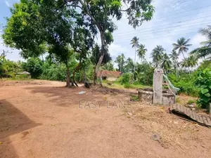 නිට්ටඹුවට ලගින්ම ඉඩම