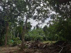 Land for Sale ගාල්ල