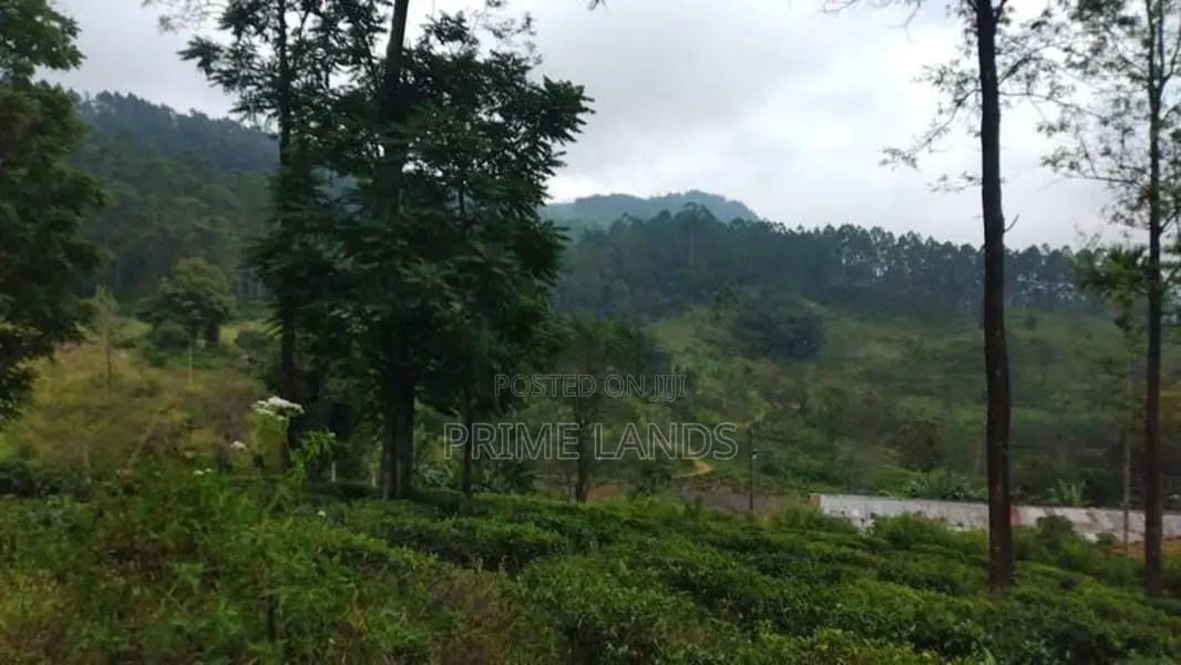 Land for Sale in Pussellawa Delta Estate