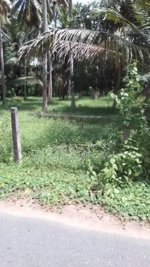 Commercial Land for Lease