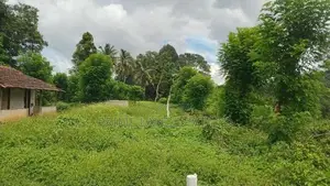 පිලිමතලාව නගරයෙන් ඉඩමක් විකිණීමට