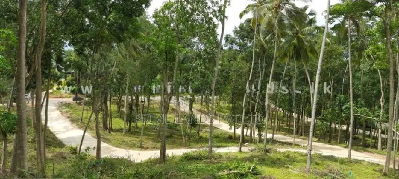 Land for Sale Thannekumbura